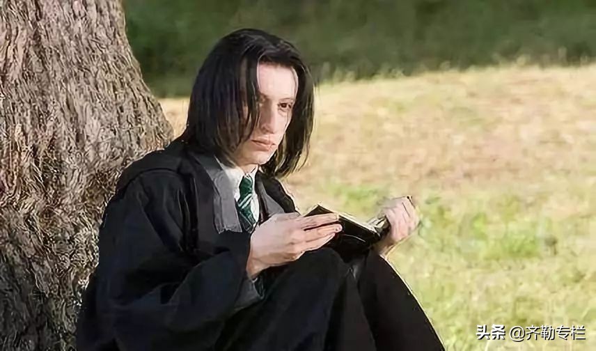 《哈利波特》霍格沃茨四大学院，各选一个代表人物，你会如何选？