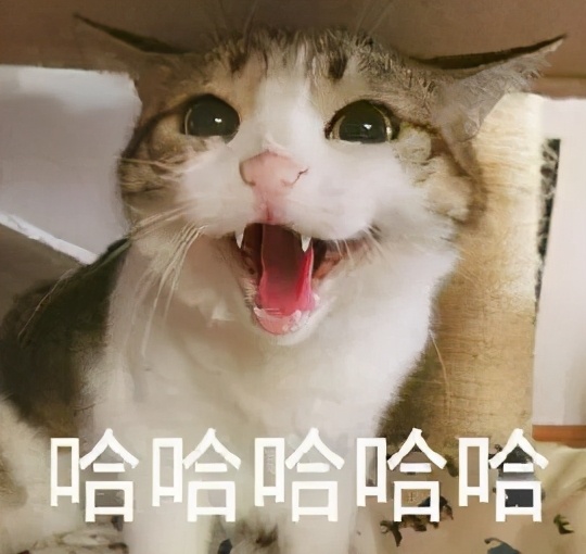 yyds, nbcs, xswl 都是什么意思？00后“网络黑话”你认识几个？