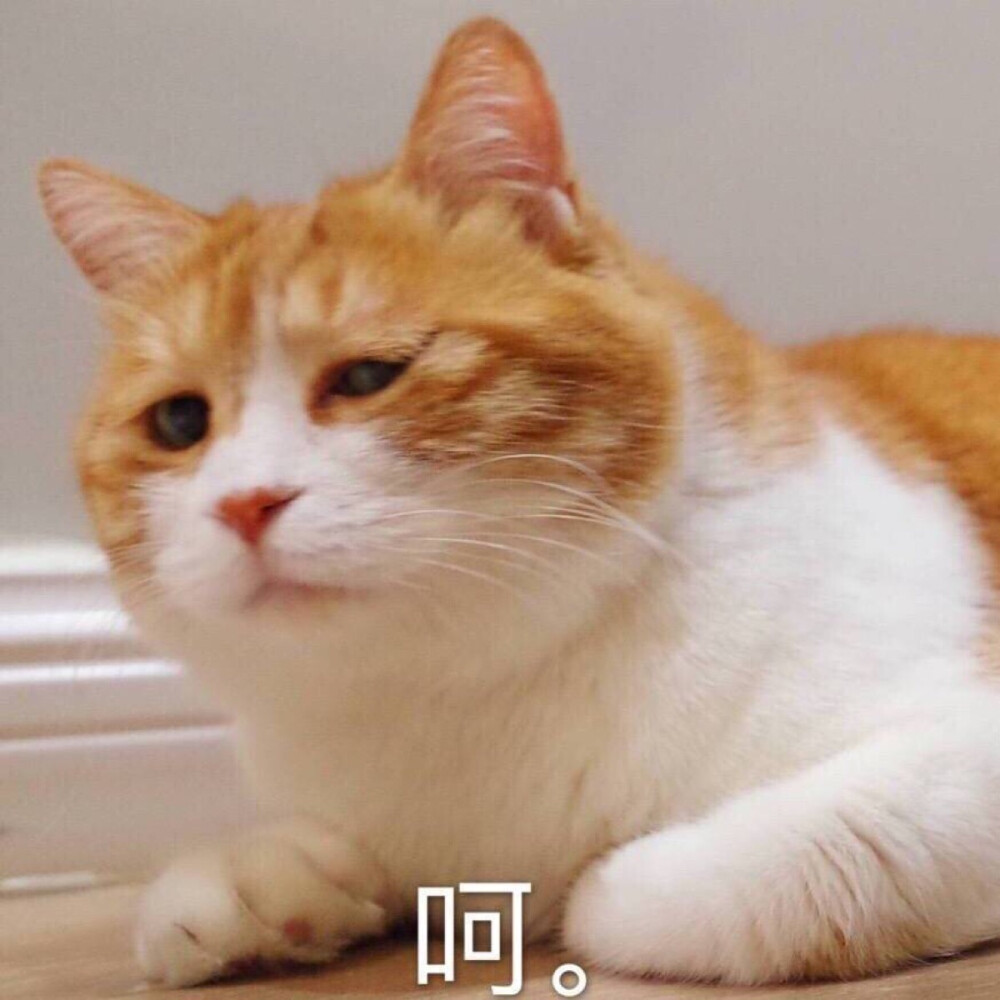 蜜汁自信的吴亦凡,因为被母亲溺爱,因为被众人拥簇着