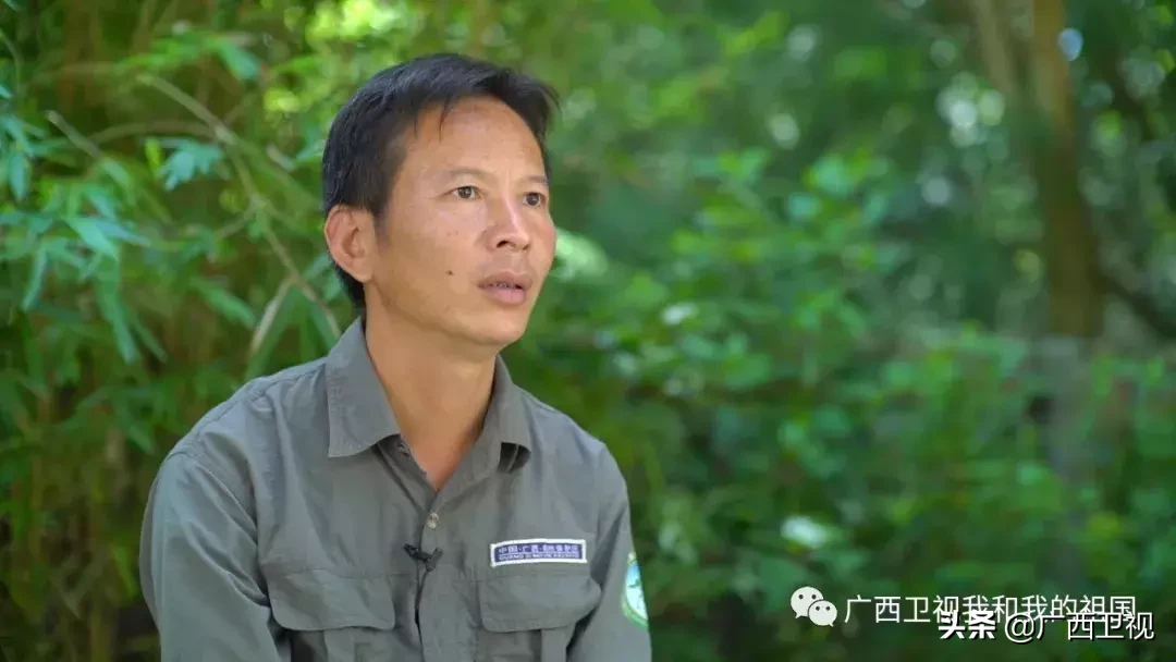 为造地雷浑身是伤，俘虏级别最高国民党将领……他们都是解放广西的英雄