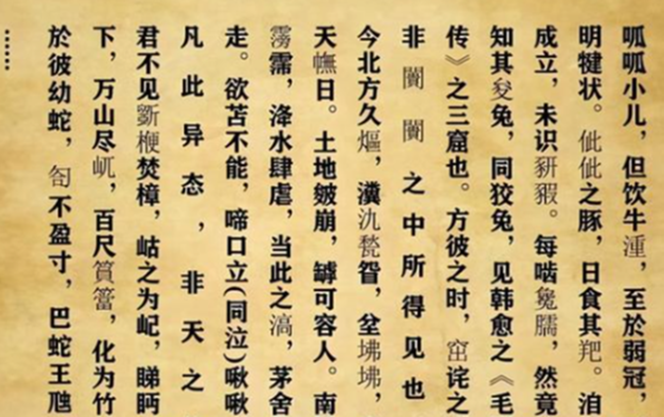 755字高考满分作文，30字阅卷老师不认识，参考2000字注释才看懂