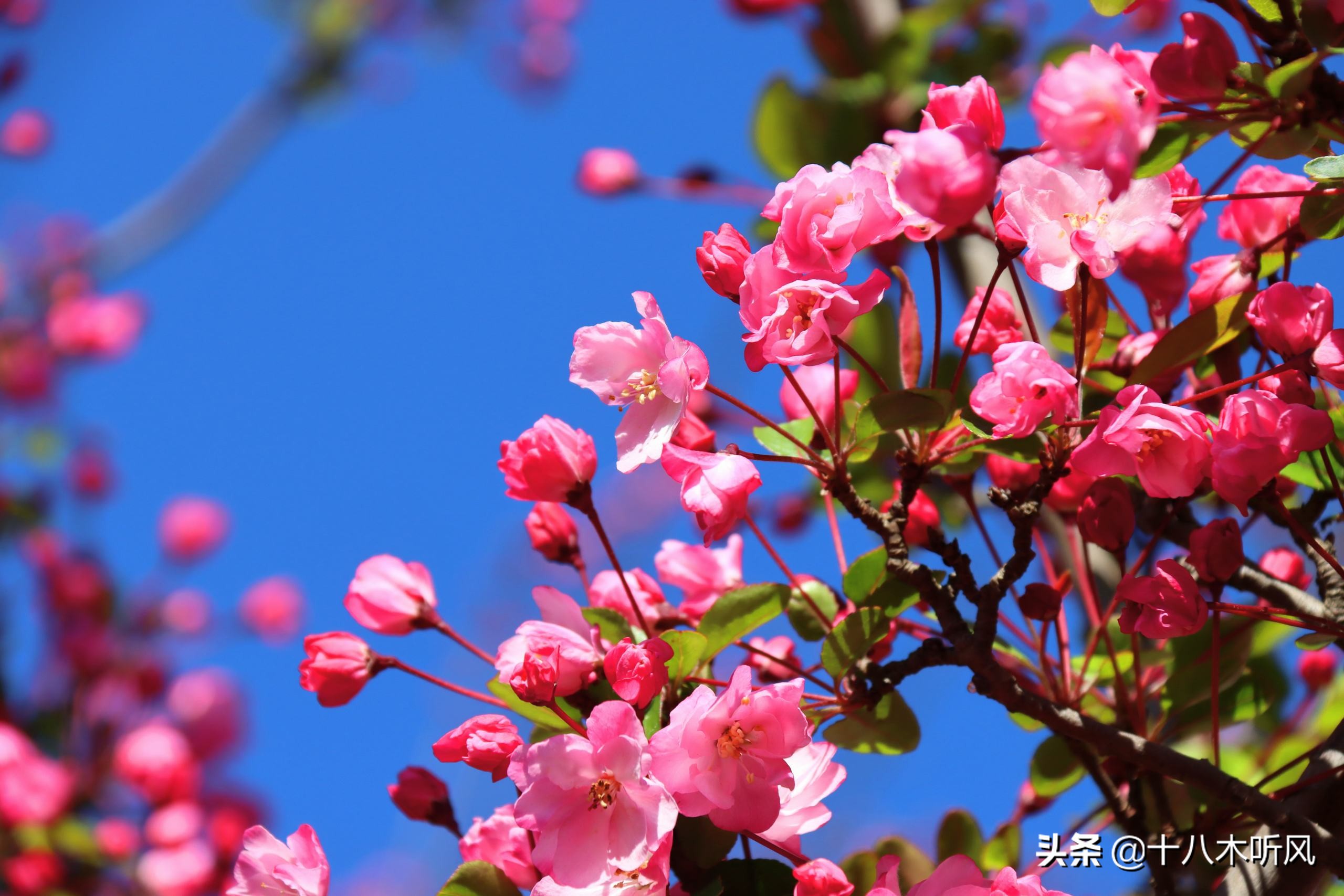 读大学做到这几点，大学时光将会成为你最美的青春记忆