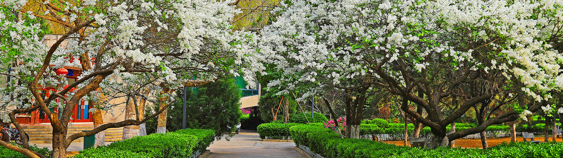 济南大学2020年招生计划，招收省属公费师范生258人