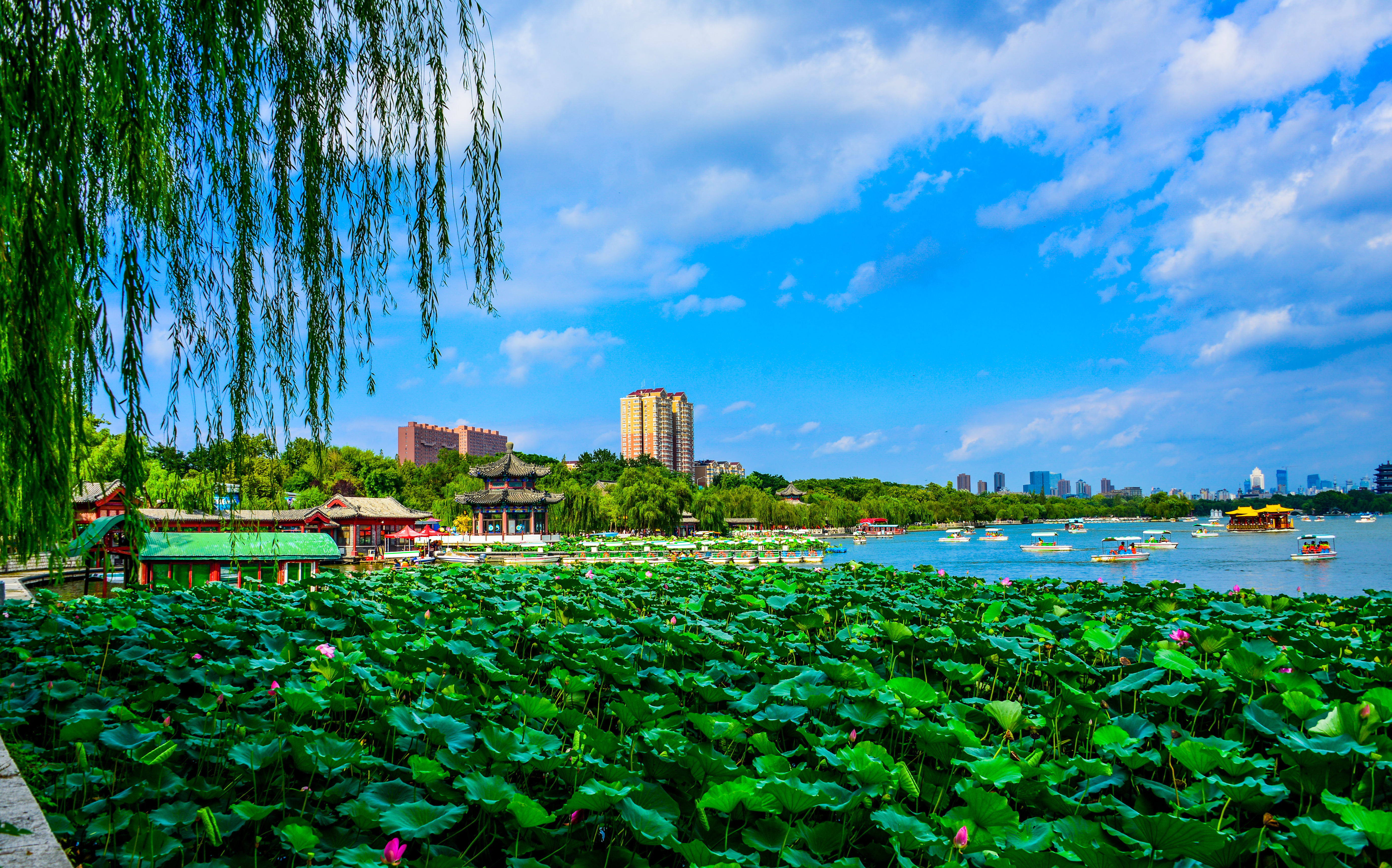 夏末初秋，大明湖的风景，这样看才浪漫！