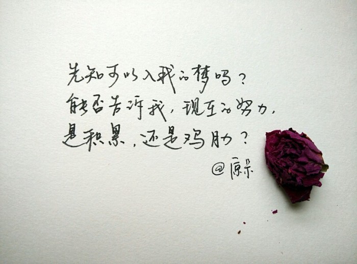 弹一首春夏秋冬，唱着时光的永恒，愿你如爱所愿，成为最幸福的人