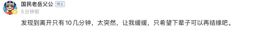 千万粉网红狗突发抽搐去世！曾患恶性肿瘤，日常住豪宅有专门泳池