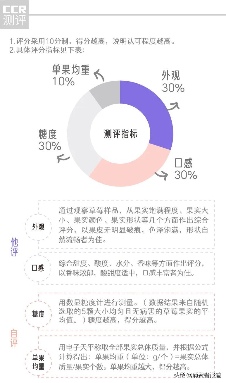 6款高档草莓试吃：5元一颗的“白富美”草莓，颜值和实力哪个更扛打？