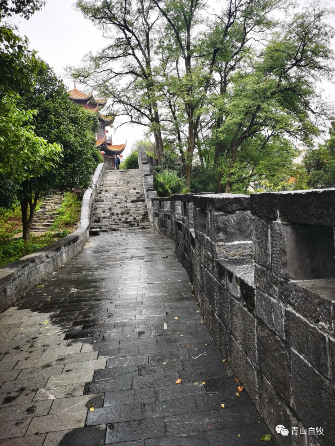 在湘西南,曾有一所黄埔军校第二分校