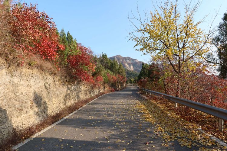 跟着《聊斋》漂亮小姐姐，穿越到潭溪山看最美秋色