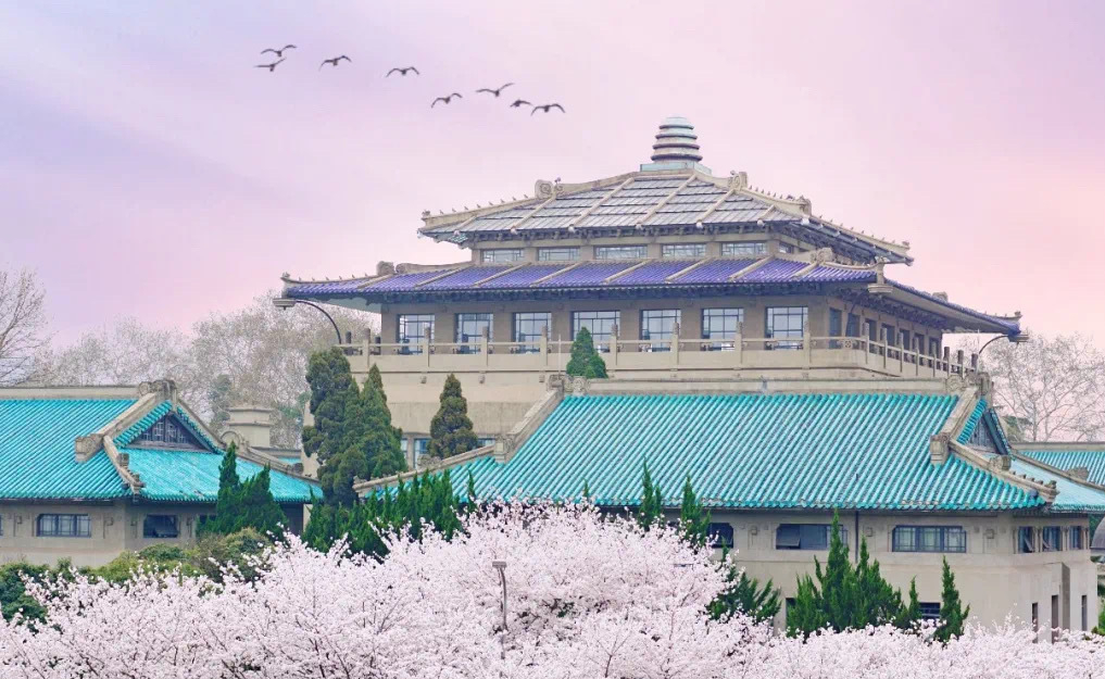 保2争3？10年沉淀，武汉大学有望迎来院士增选大爆发？