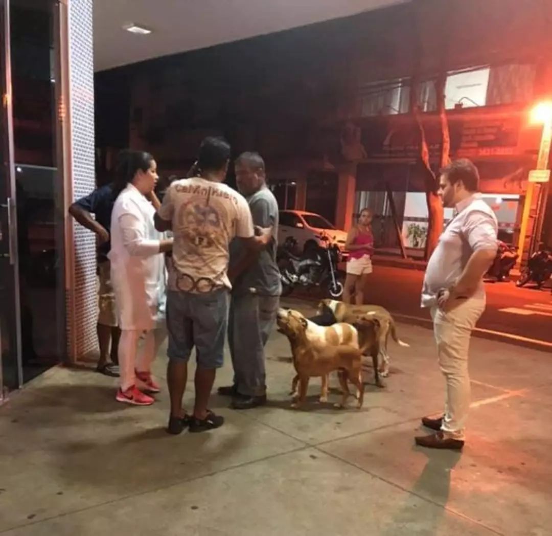 6只狗狗在救护车后狂奔，它们死守医院门口等主人！