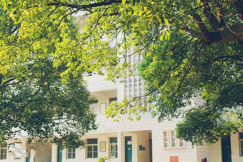 湖南岳阳闻名遐迩四所好高中，2020高考喜报，岳阳市一中继续领跑