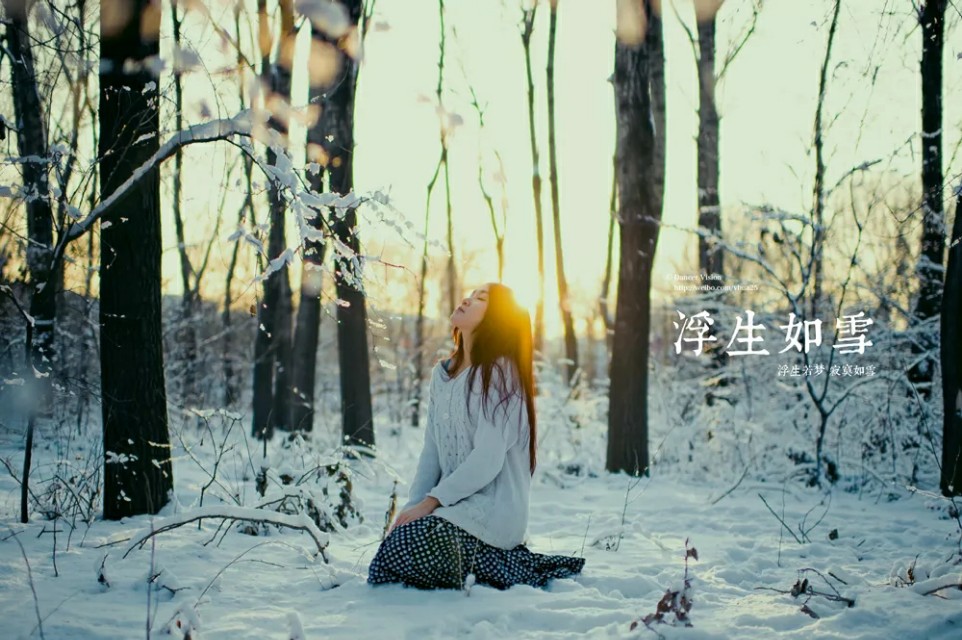 小雪：执笔问安，落雪为念