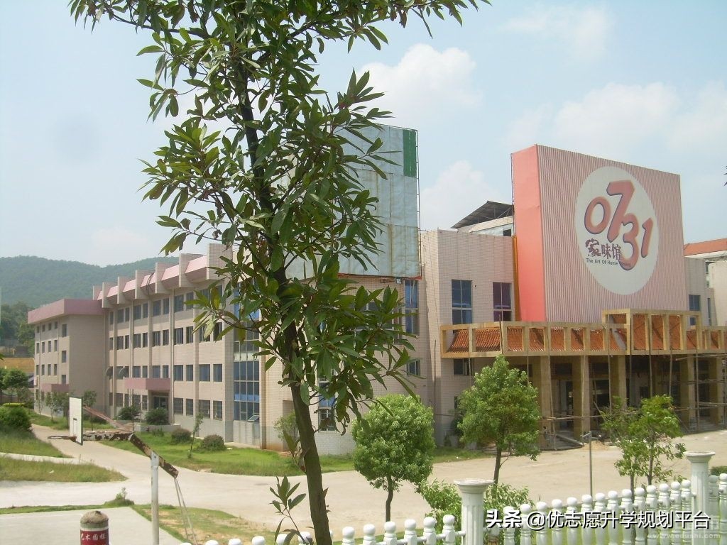 湖南师范大学的这些专业就业率 超过全校本科就业平均水平！