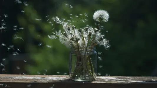 如何知道一个男人已经爱上你了？做到以下五点中的三点你就安心吧