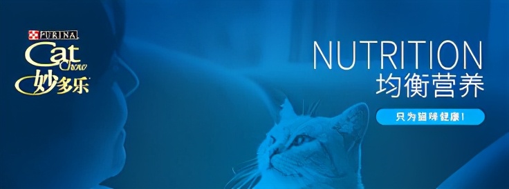 2021成猫猫粮排行榜品牌介绍