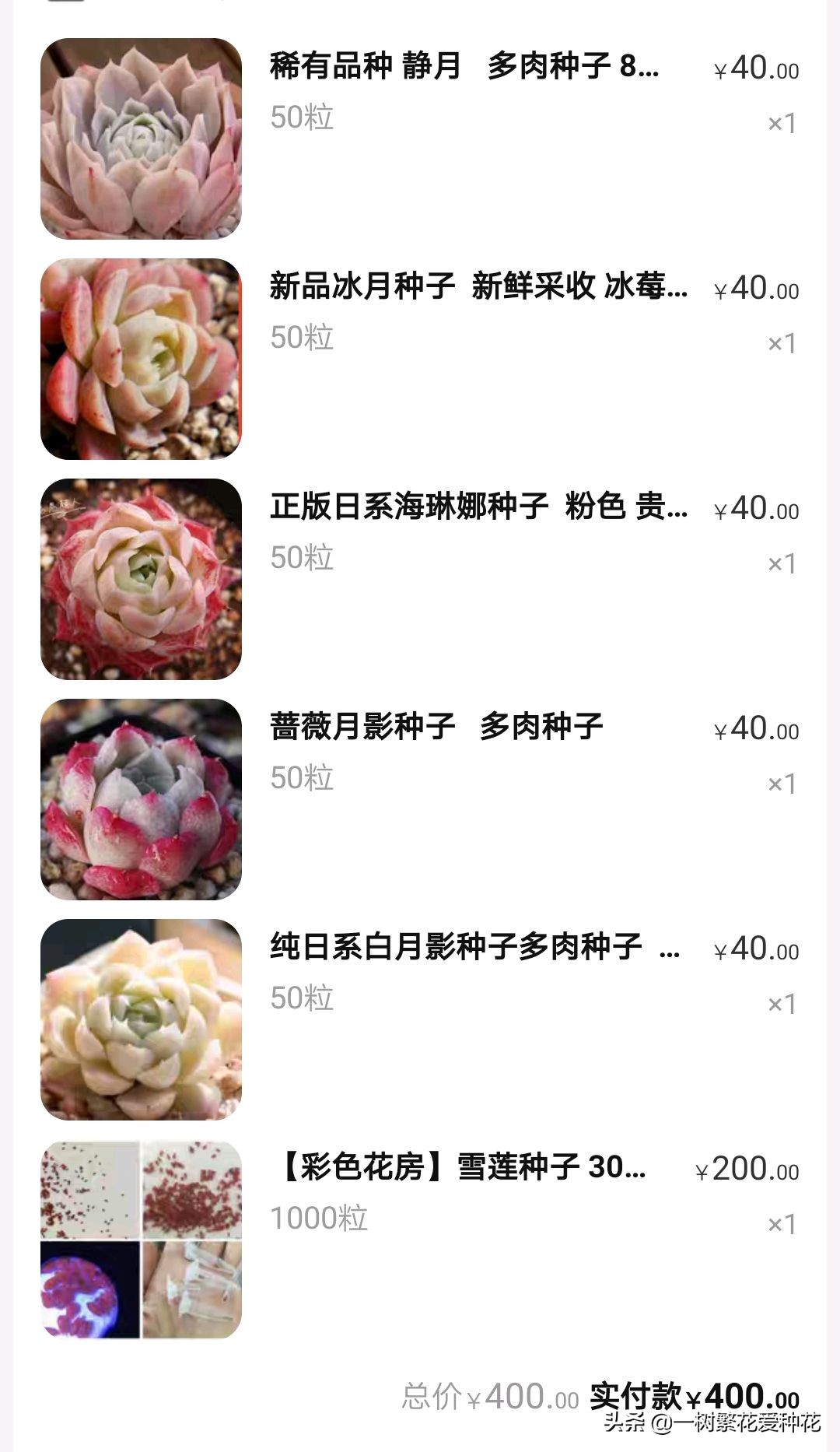 跌落神坛的20种多肉，当年贵到下不了手，现在终于可以随便买了