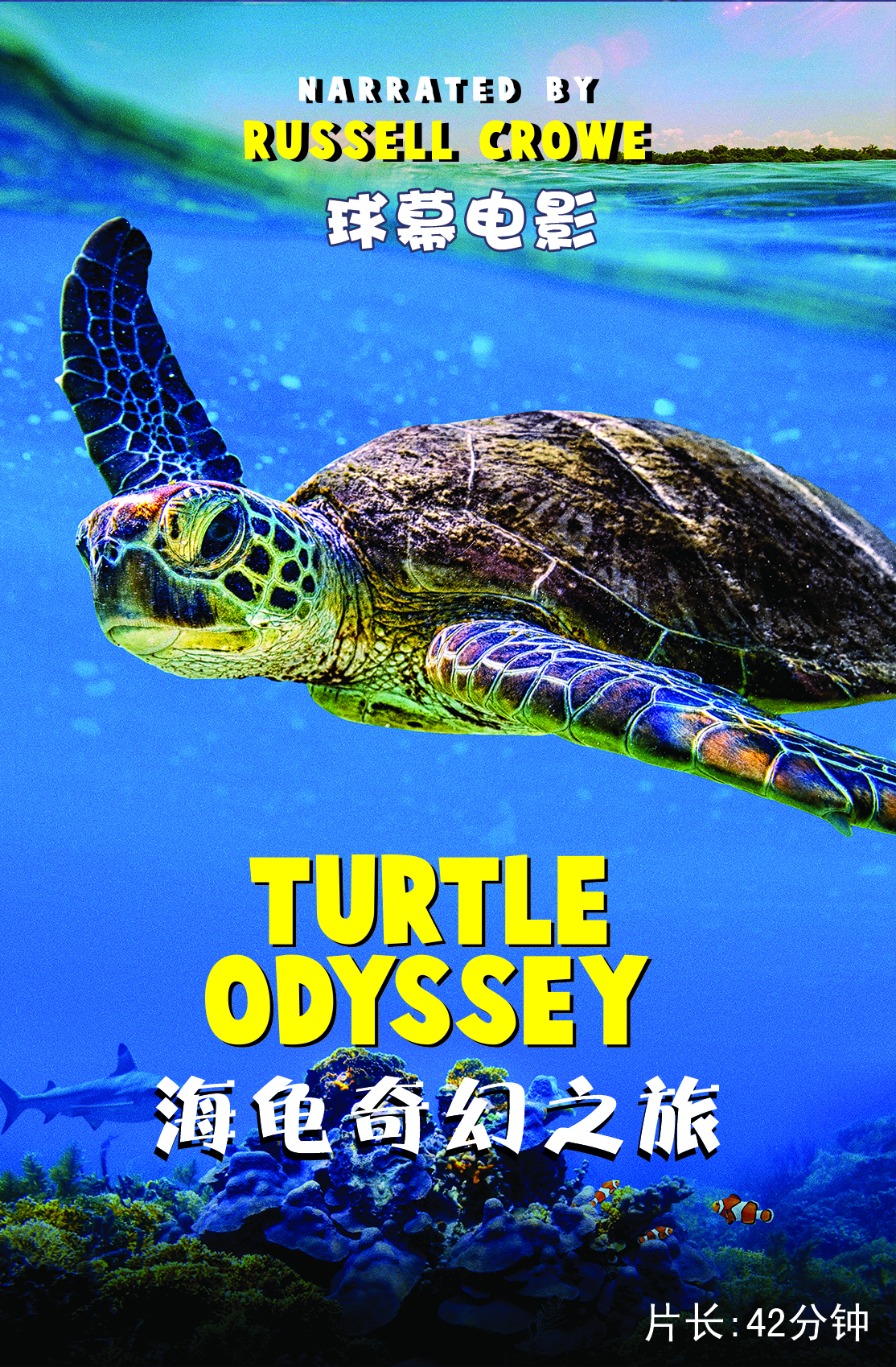 一起聆听海龟与南极大陆的故事!