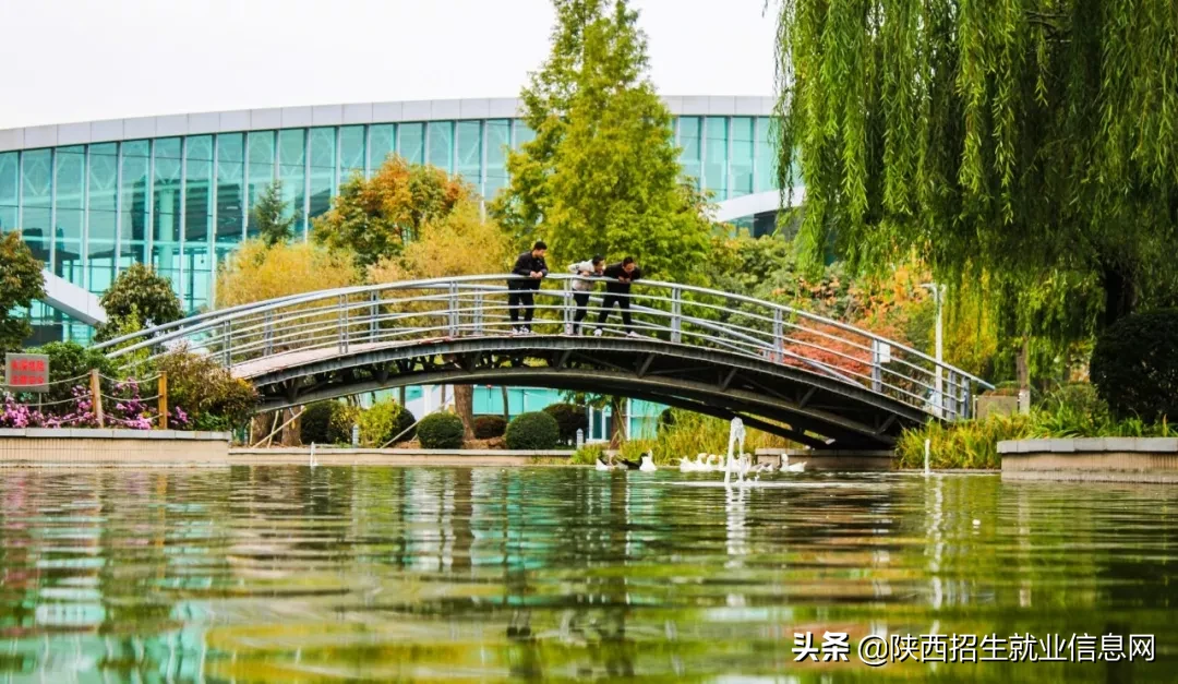 阳光正好丨多维度、高清图，带你一起了解咸阳职业技术学院