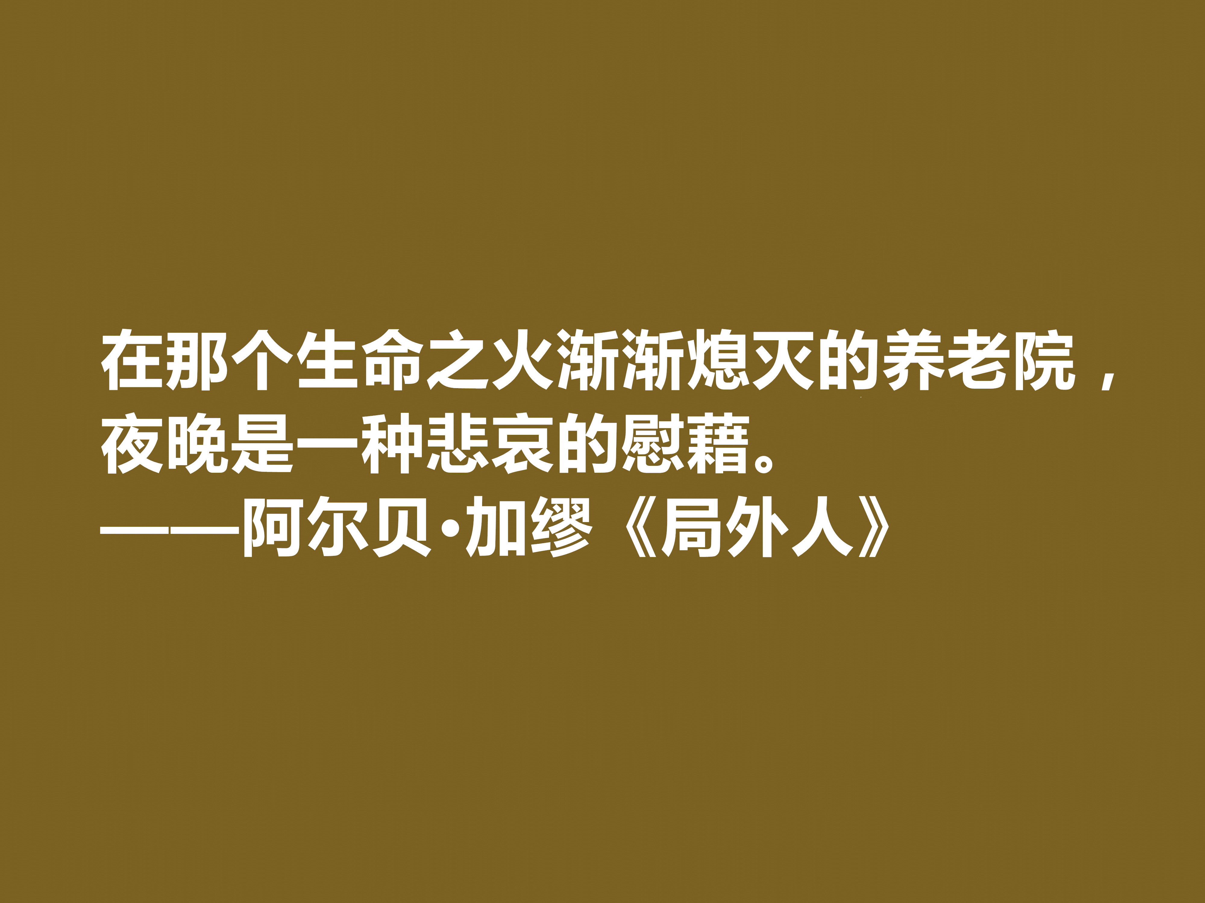 加缪最伟大的作品《局外人》中的十句格言，包含着深刻的人生哲学观。