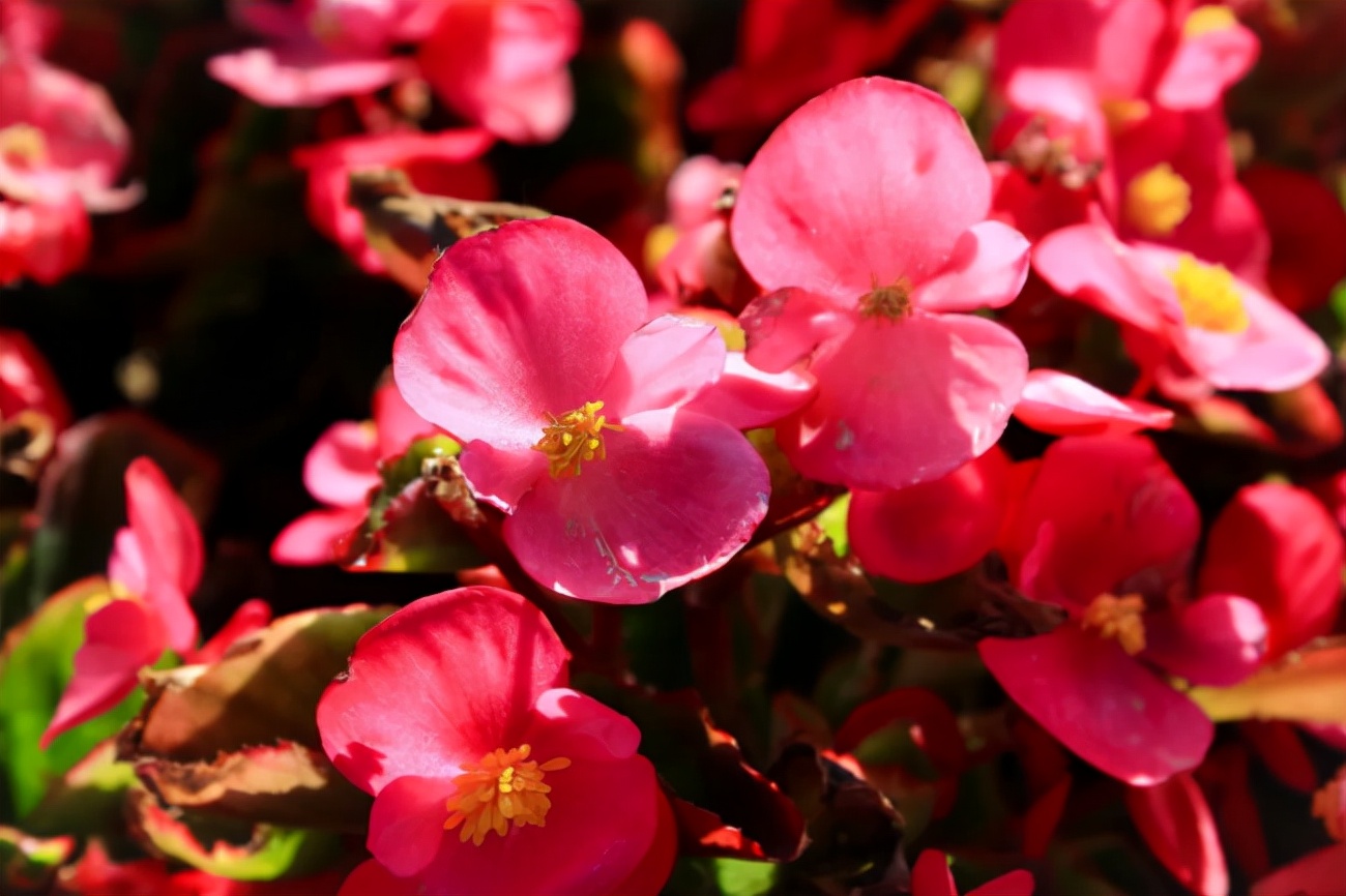 坐拥“专属地铁”，有7大美食集结地！东北这所大学“顶尖”配置太绝！