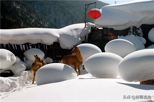 各省高校驻地第二城——东北篇