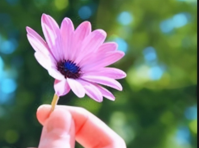 余生愿你：累了有人疼，难过有人懂，伤心有人拥