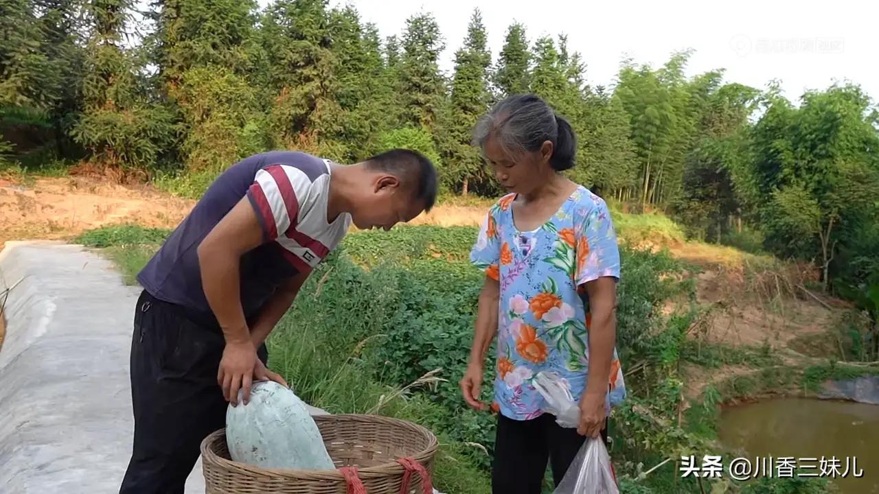 农村小英子王四图片