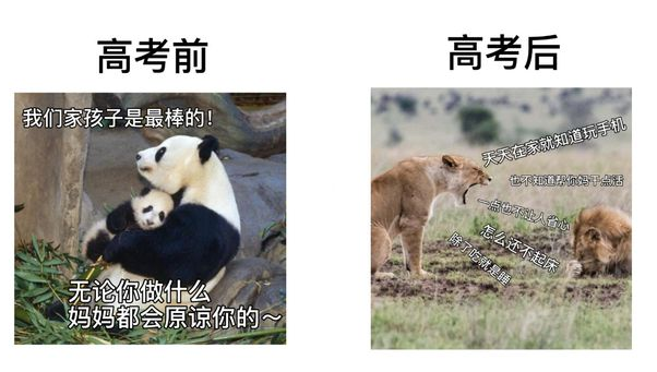 高考后考生地位一落千丈，爸妈翻脸比翻书还快，亲儿子变大侄子