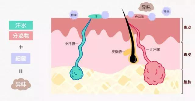 25岁女孩医院痛哭“狐臭让我想自杀”，医生：3个办法远离狐臭