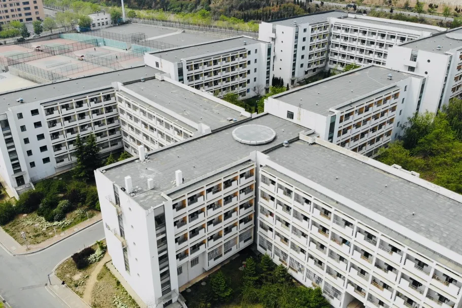 来大外！一起展望前方星辰大海！