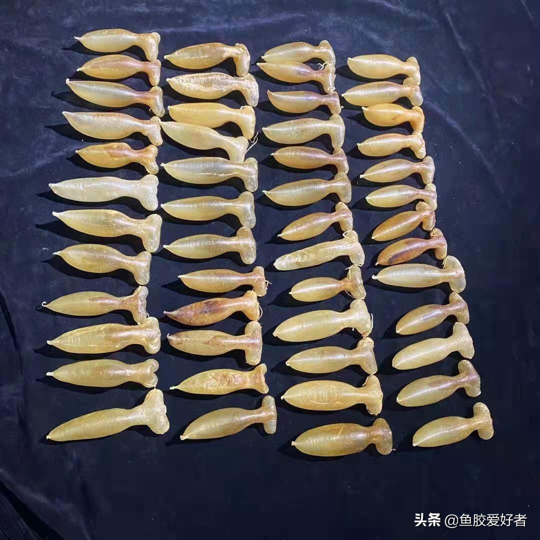 为什么说蜘蛛胶具有收藏的价值？难怪今年价格暴涨一倍多