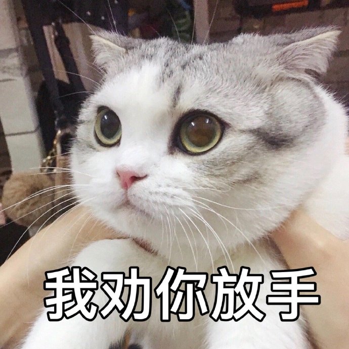 表情包：我就看看我不吃