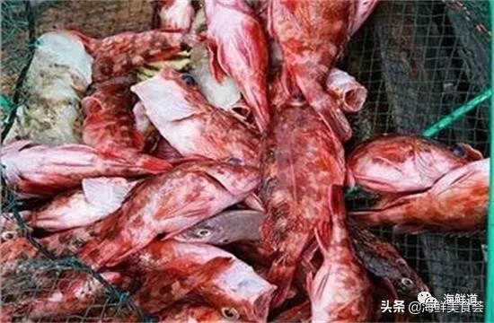 市场常见的102种海鲜，肉质鲜美，营养丰富，你们吃过几种？