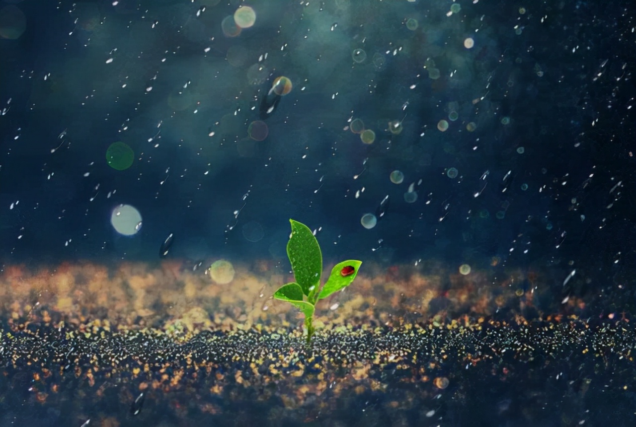 真·心灵相通！00后双胞胎同分考清华，连专业都一样