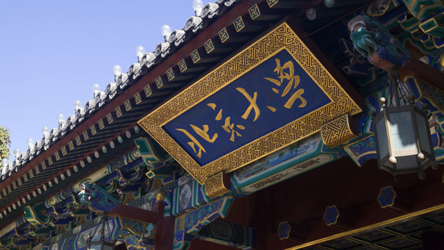 北京大学考古系（北大古生物专业）