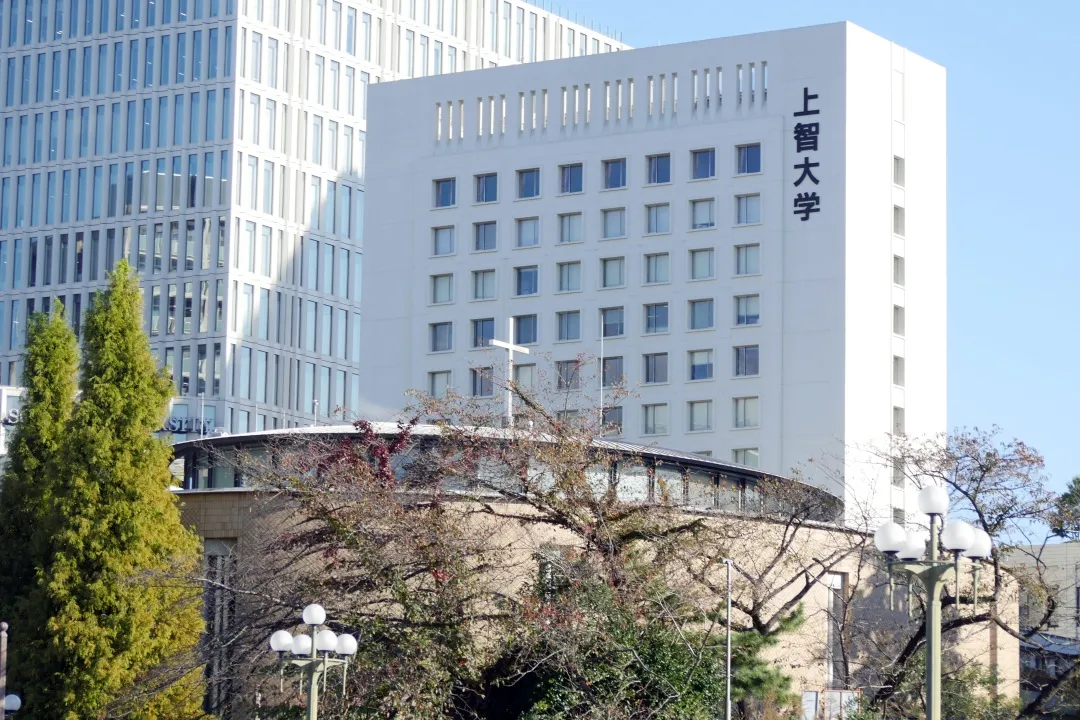 日本学部热门SGU英文项目汇总(经管/人文类专业)