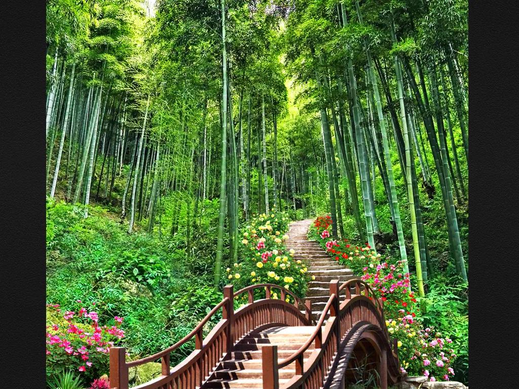 写竹林周围优美的句子