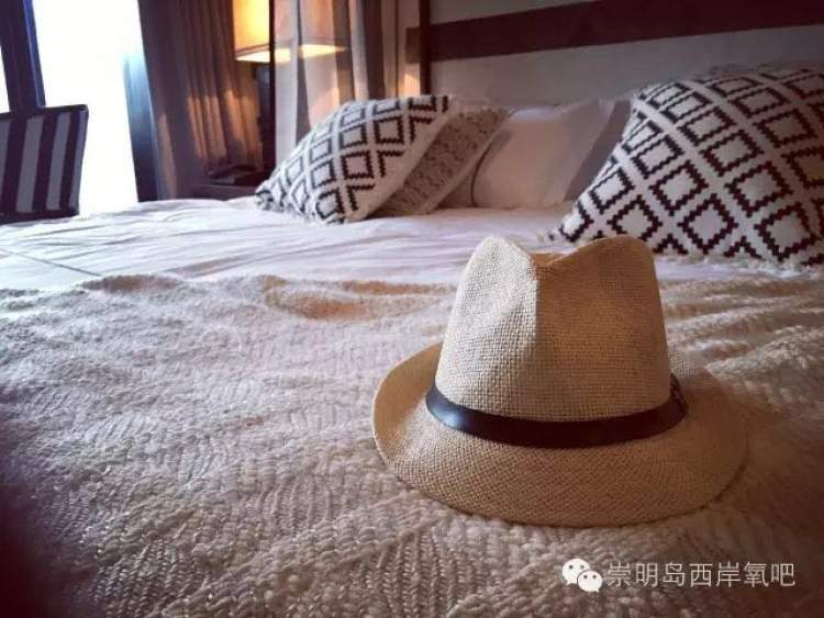 生态崇明｜西岸林舍：从“农家乐”到“民宿”，一场父子俩的博弈与和解
