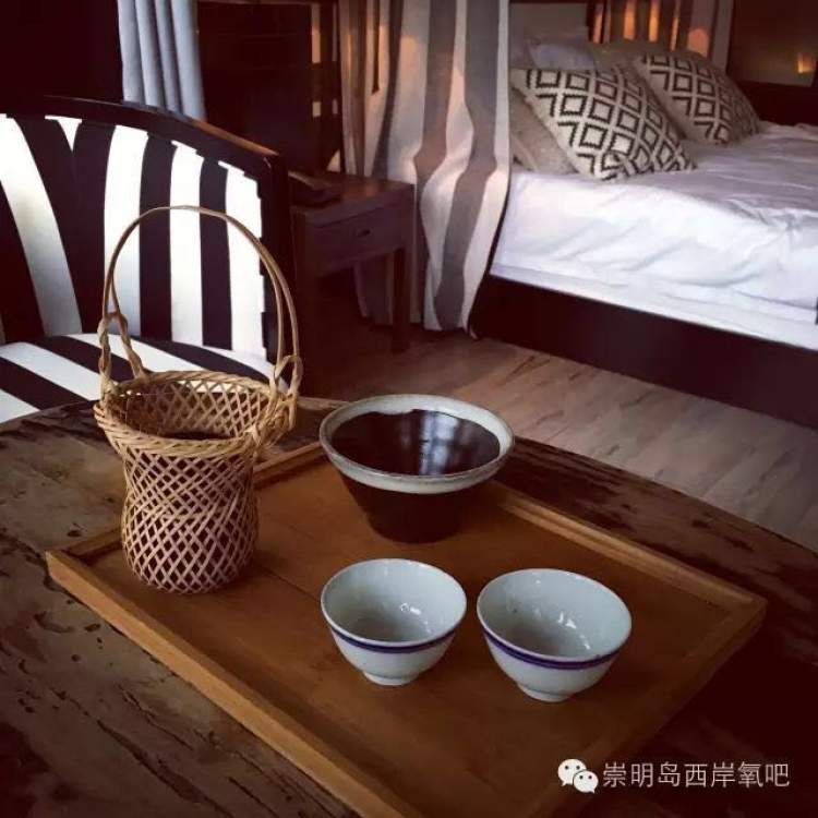 生态崇明｜西岸林舍：从“农家乐”到“民宿”，一场父子俩的博弈与和解
