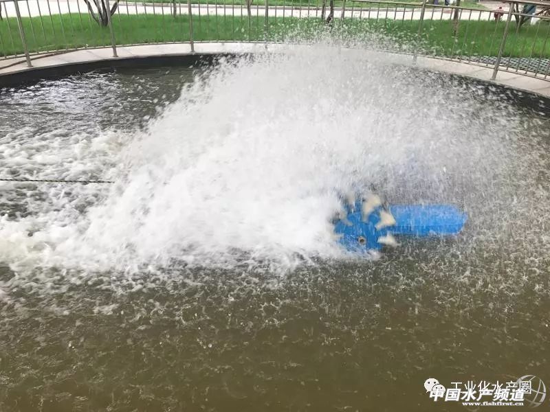 我們不一樣！10個(gè)月賣(mài)出6萬(wàn)臺(tái)的增氧機(jī)，竟是長(zhǎng)這個(gè)樣子