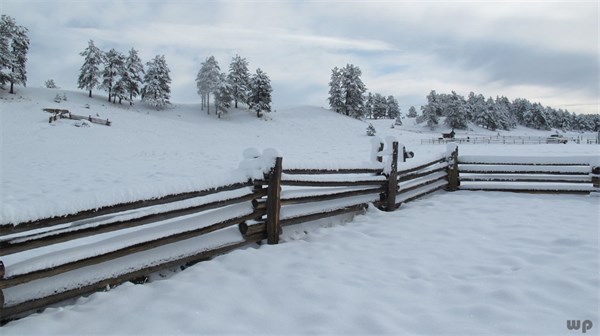 最全下雪天心情说说，浪漫、文艺、伤感、幽默……总有一句你喜欢的