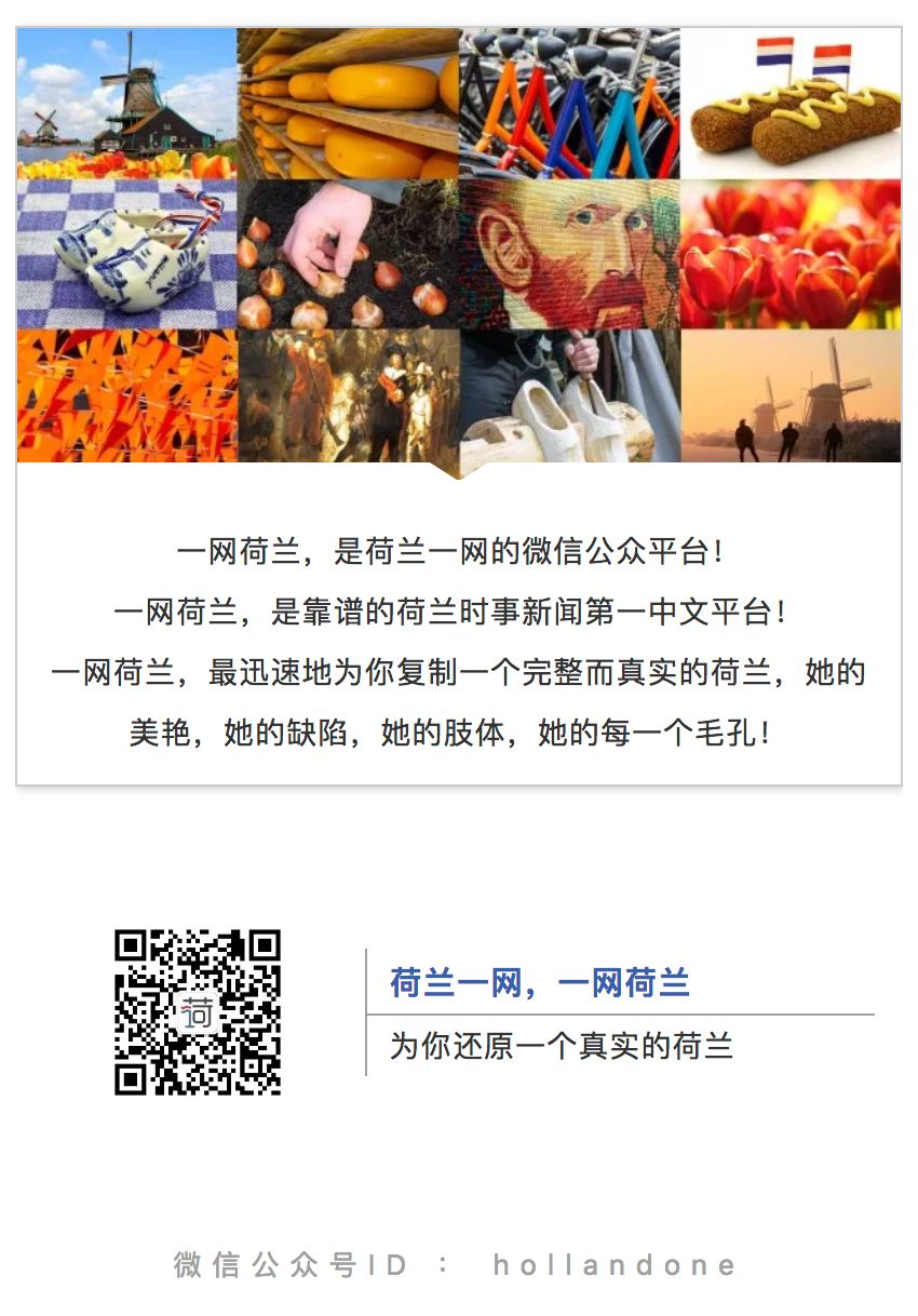荷語(yǔ)寶典 | de與het用法寶典，收藏這一篇搞定所有使用方法