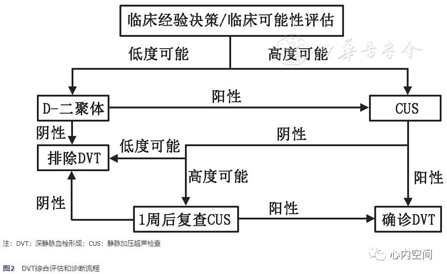 中国血栓性疾病防治指南（上）