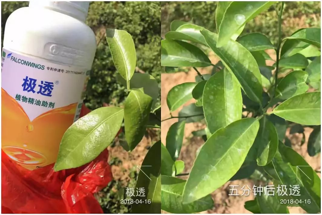 天然防腐剂有哪些 生产农药的主要原料-诚智百科网