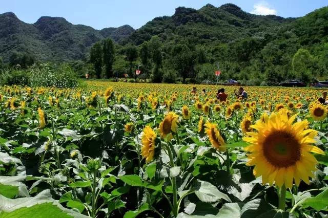 北京的百里山水画廊，一个可以在画中奔跑的地方