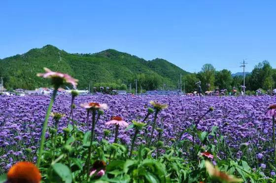 北京的百里山水画廊，一个可以在画中奔跑的地方