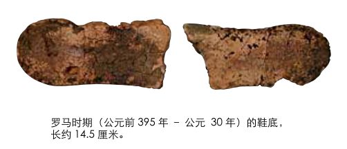 罗马1700年前用它做鞋底！中国人今天用澳洲羊毛把它做成鞋垫，舒服暖和到爆
