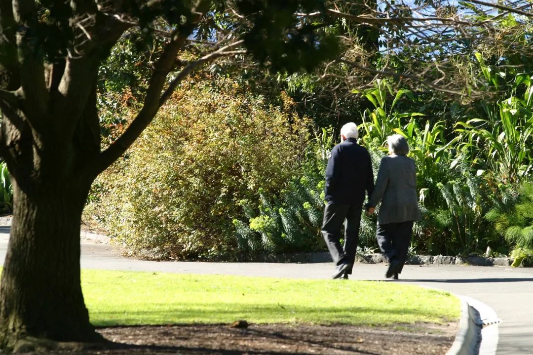 中国老年人性生活真相