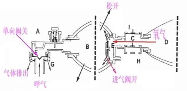当挤压球体时,产生正压,将进气阀关闭,内部气体强制性推动鸭嘴阀打开